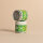 KISSA Matcha Basic Tea Powder 30g