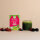 KISSA Matcha Tea to Go 10 Sticks 15g